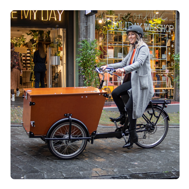Babboe Pro Trike el-ladcykel til erhverv