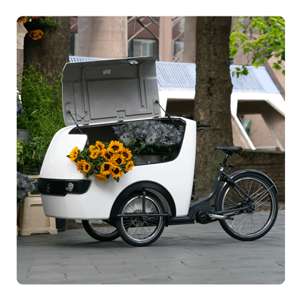 Babboe Pro Trike XL el-ladcykel til erhverv