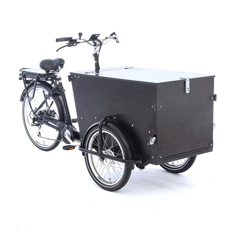 Pro Trike